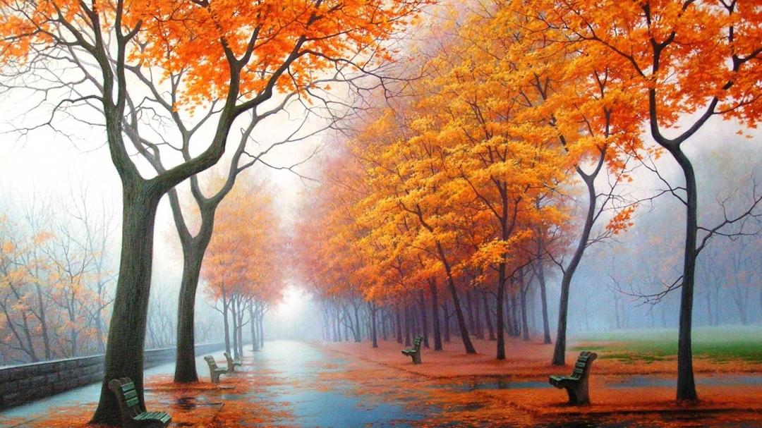 美丽的秋天高清唯美壁纸