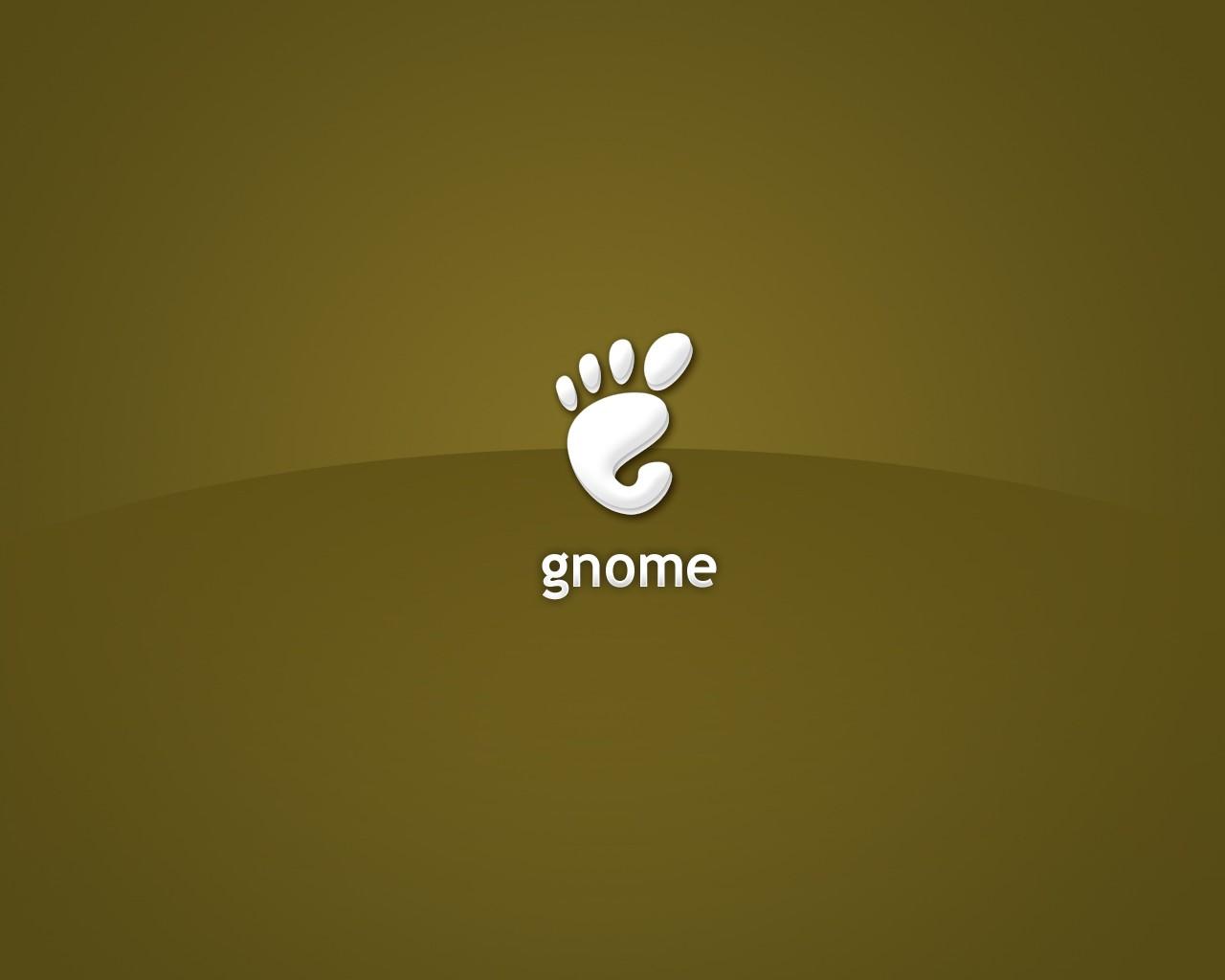吸引人的Gnome桌面11