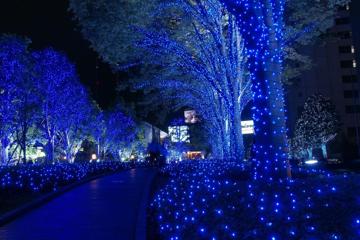 蓝色的水晶灯图片夜景