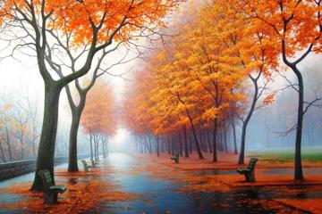 最好看的秋叶静美壁纸图片