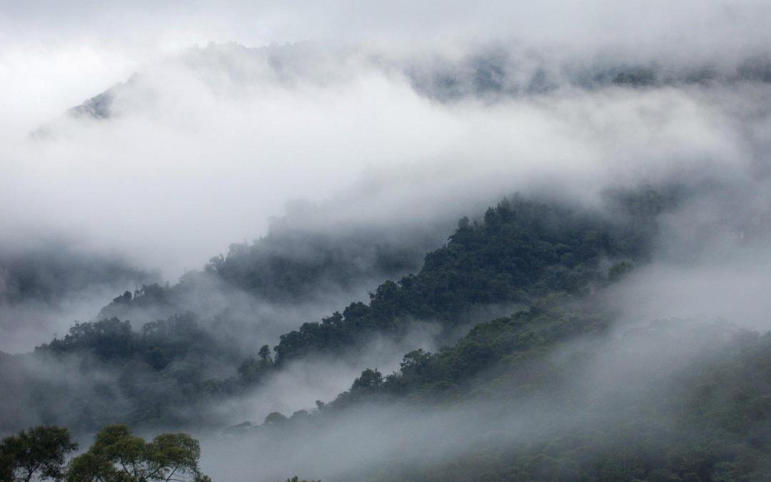 雾中的世界高清自然风景桌面壁纸