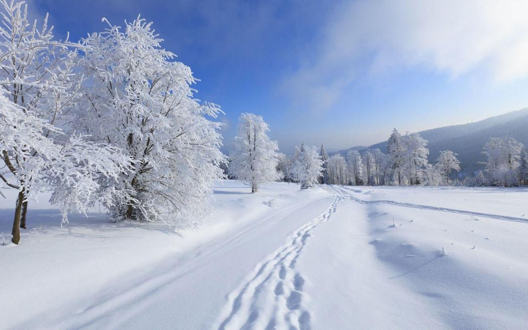 冬季雪后好看的雪景桌面壁纸