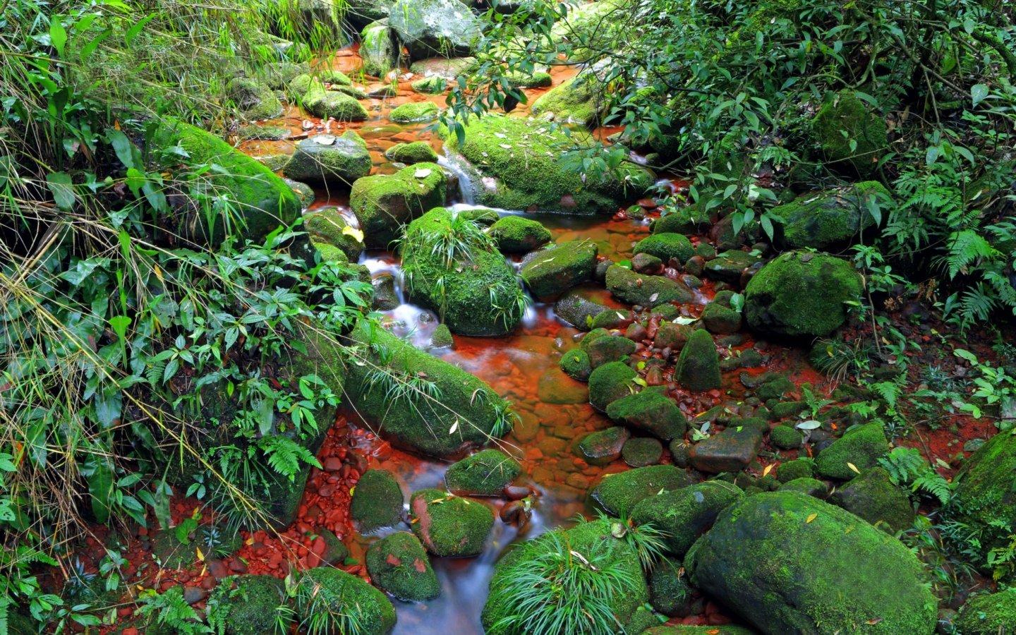 高清潺潺溪流美如画风景壁纸桌面8