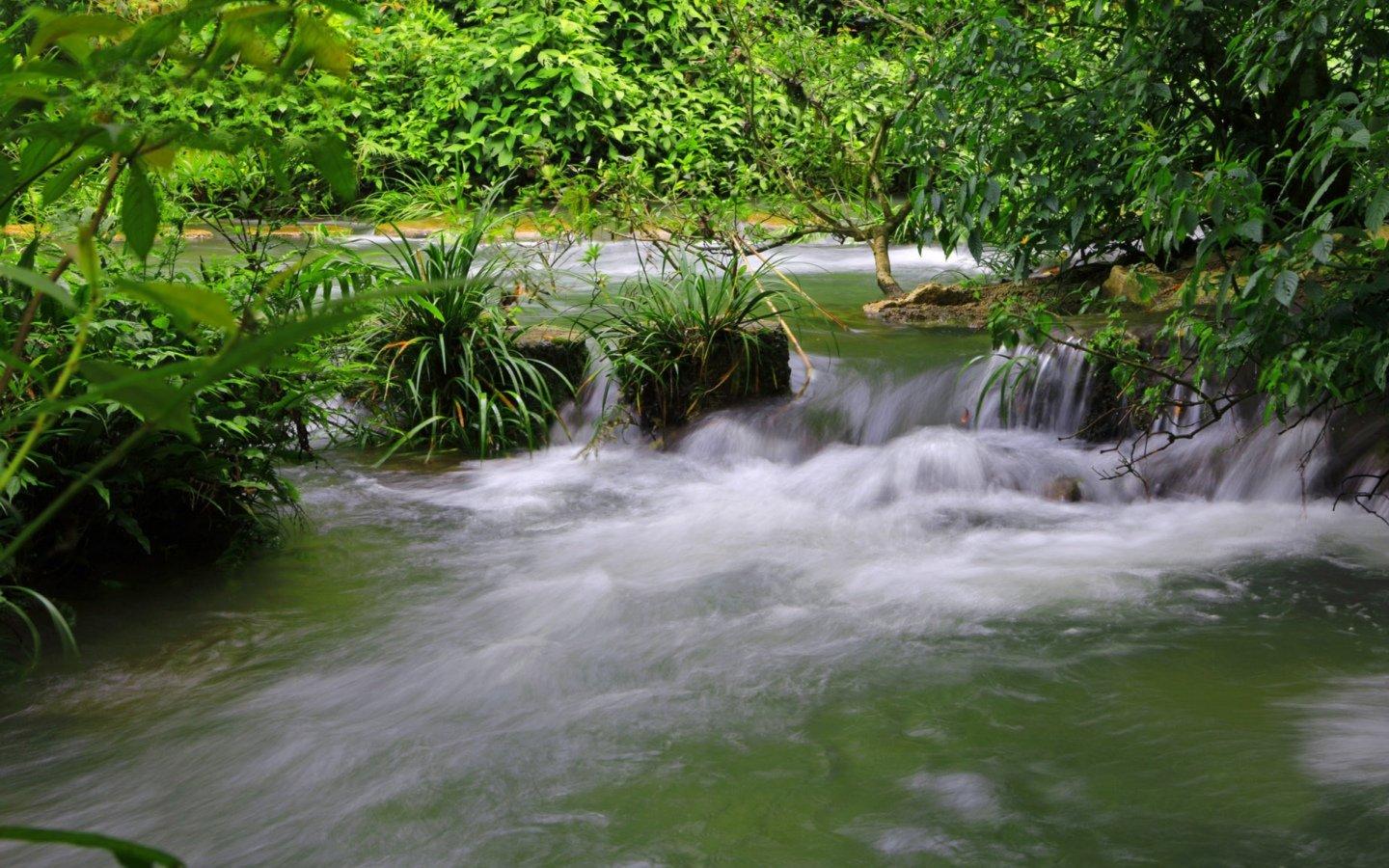 高清潺潺溪流美如画风景壁纸桌面16