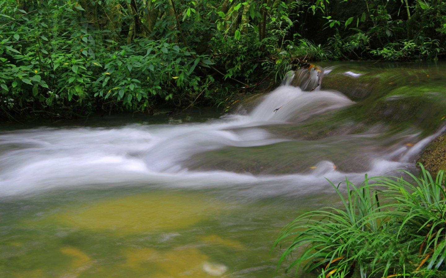 高清潺潺溪流美如画风景壁纸桌面15