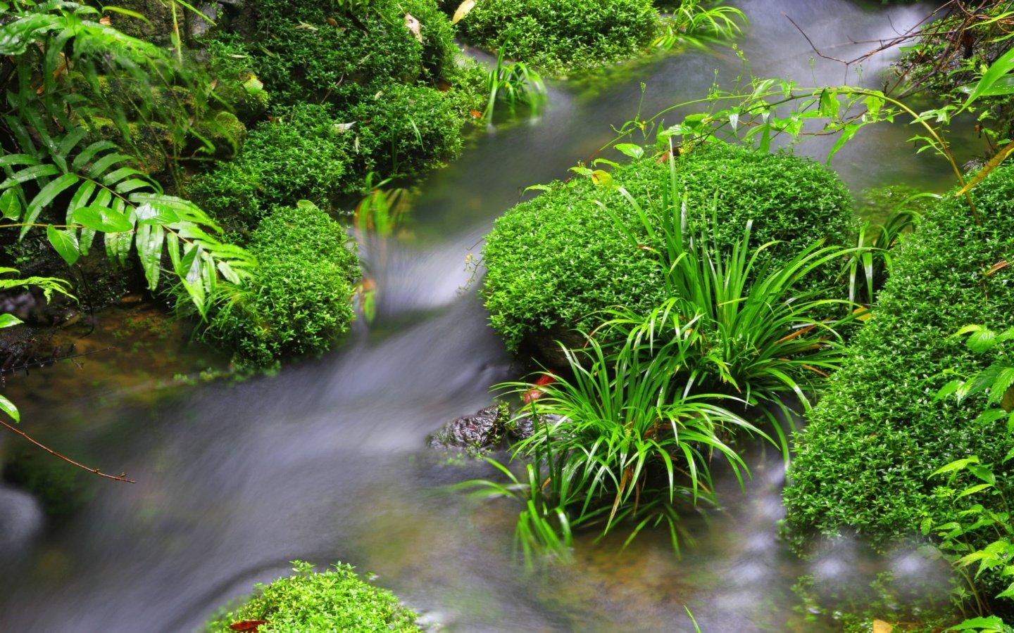 高清潺潺溪流美如画风景壁纸桌面14