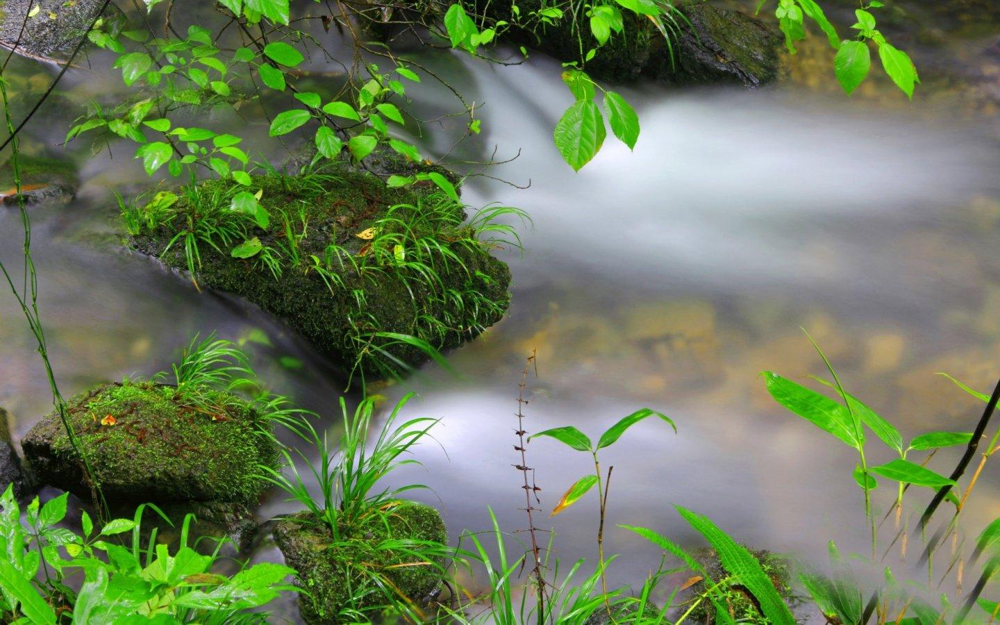 高清潺潺溪流美如画风景壁纸桌面12