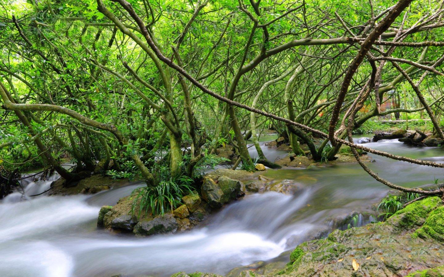 高清潺潺溪流美如画风景壁纸桌面17