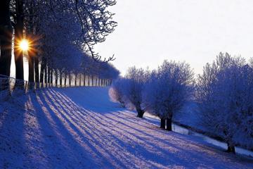 自然,冬天,山,雪,树林,阳光,天空,美丽的雪景图片