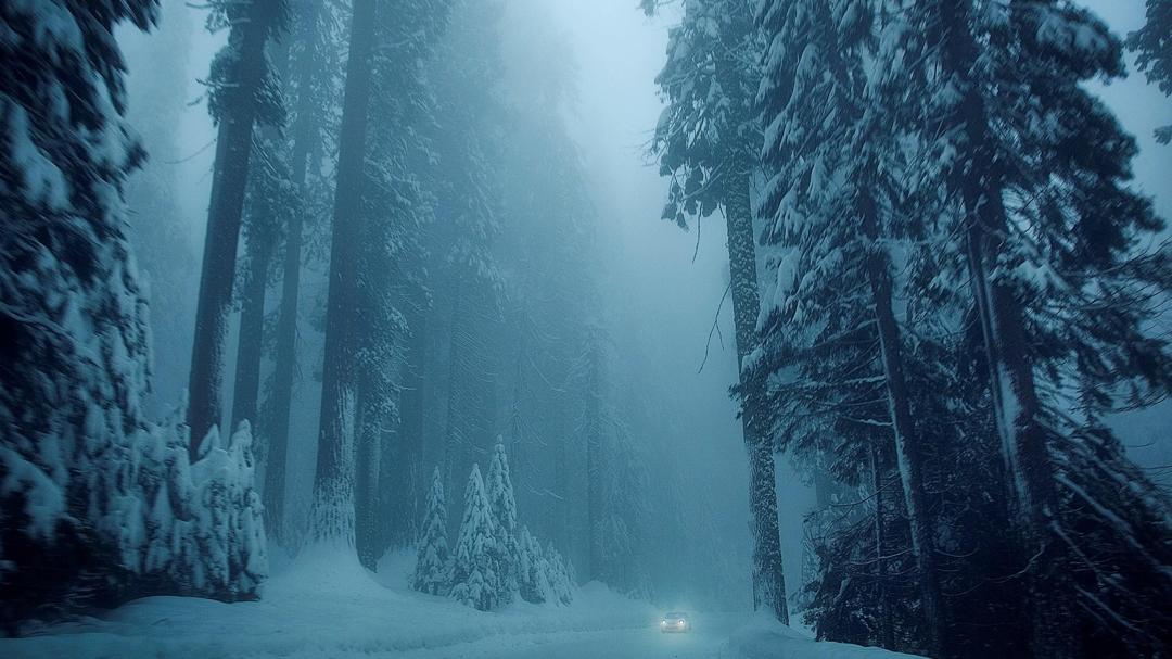 自然,冬天,雪,树,公路,洗车,风景图片