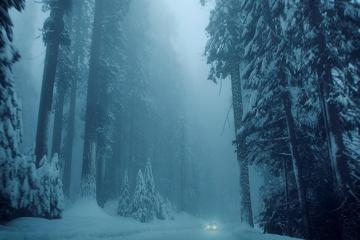 自然,冬天,雪,树,公路,洗车,风景图片