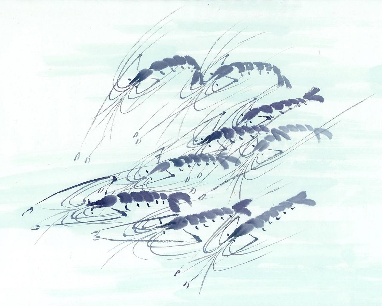 鱼虾水墨画壁纸1