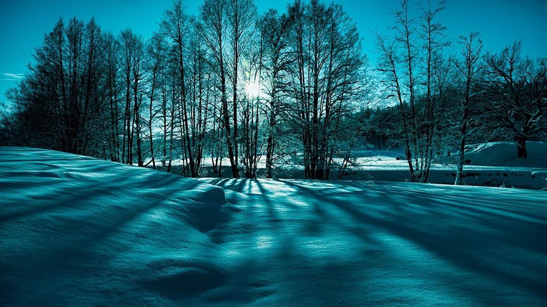 自然,冬天,雪,树,太阳,深蓝色风景图片