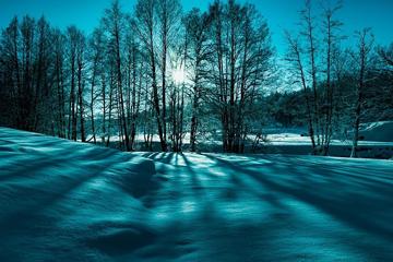 自然,冬天,雪,树,太阳,深蓝色风景图片