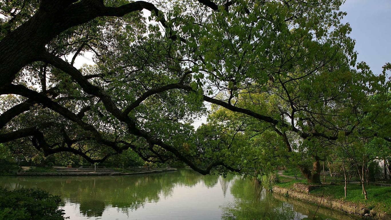 景色秀丽的国家西溪湿地公园风景壁纸15