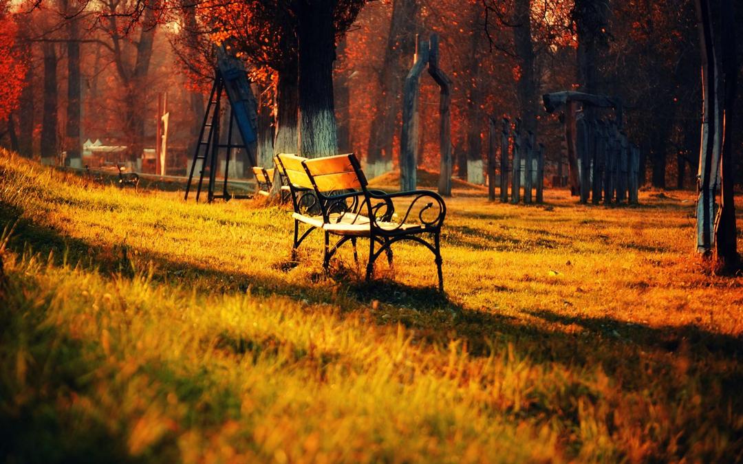 公园里孤独的长椅唯美桌面壁纸