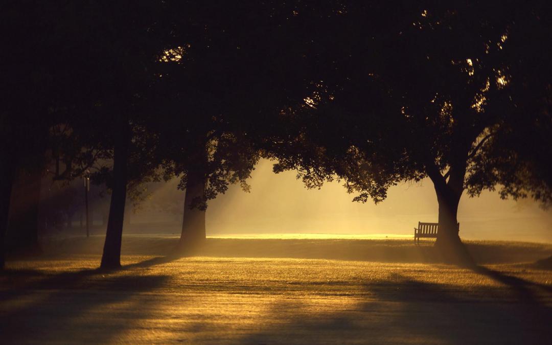 公园里孤独的长椅唯美桌面壁纸