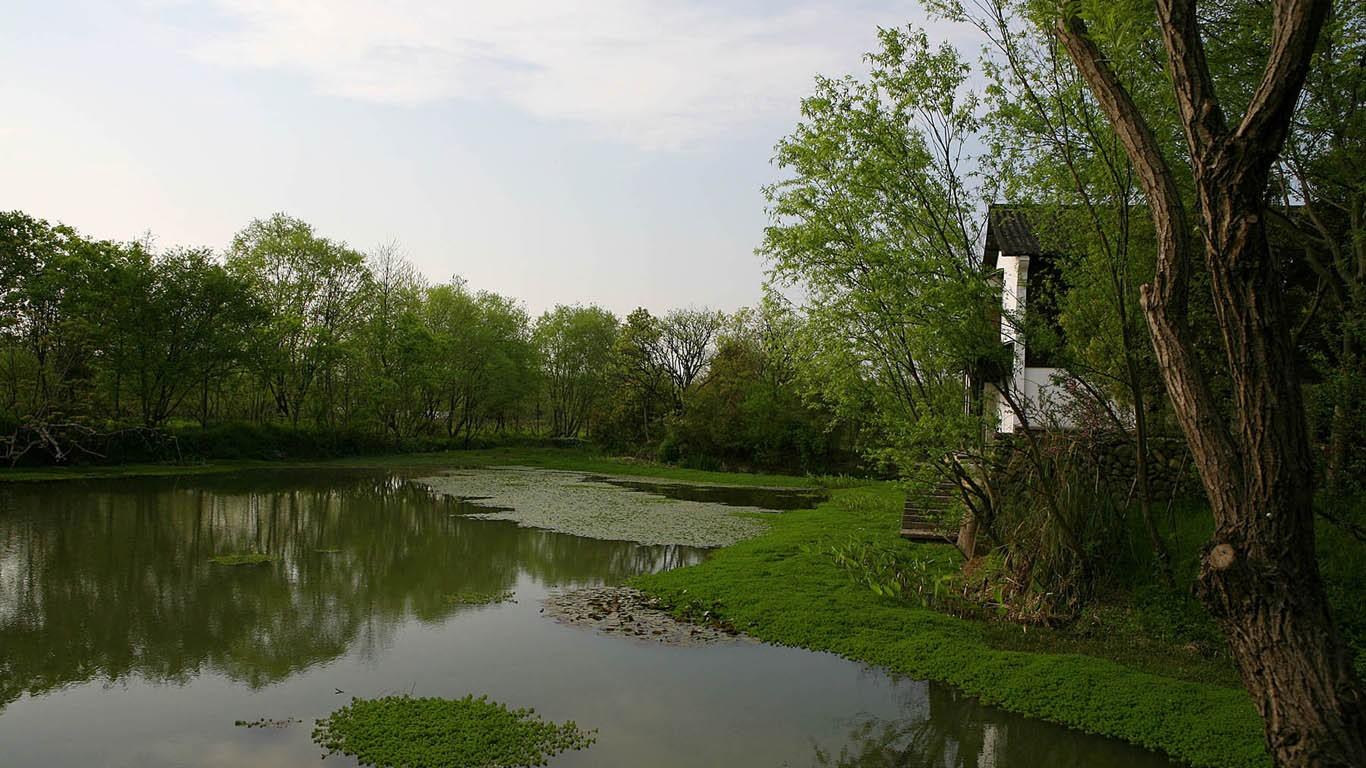 景色秀丽的国家西溪湿地公园风景壁纸7