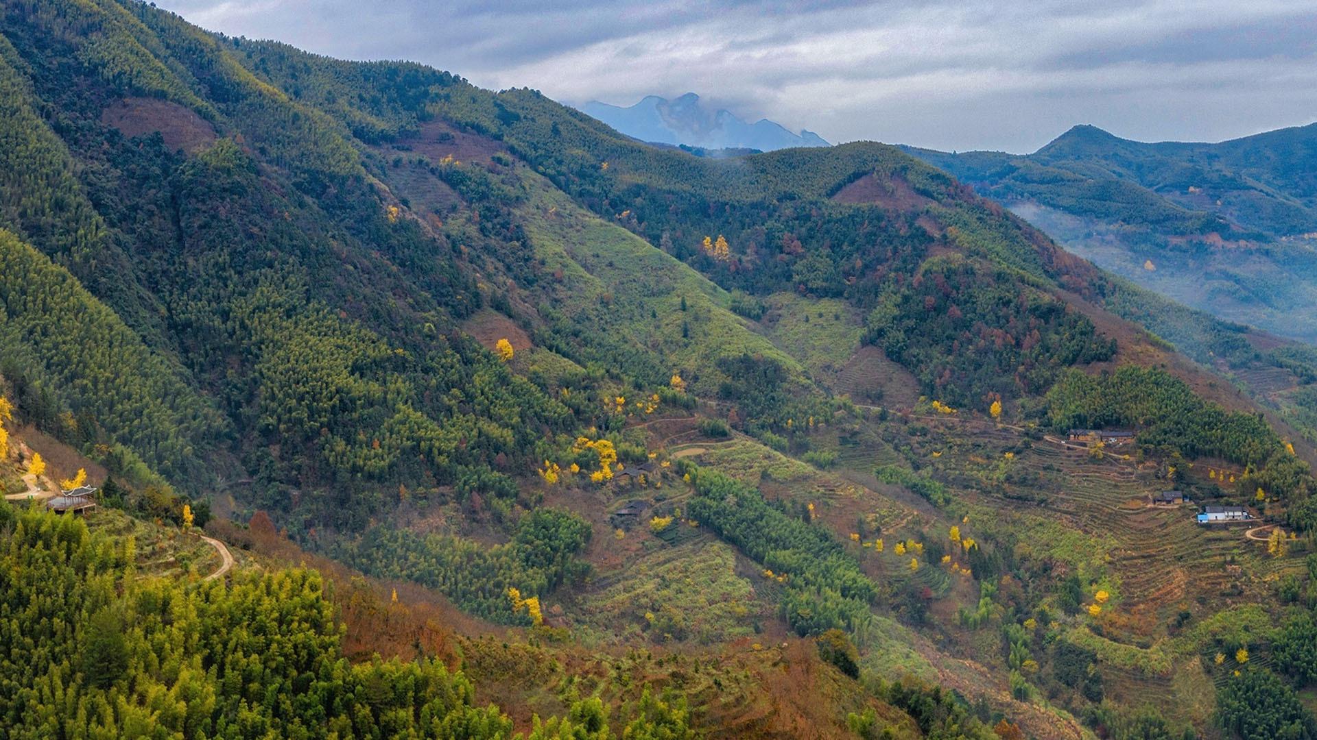 比较真实的高山风景图片桌面壁纸3