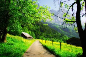 自然,山,房子,公路,森林,林木,风景壁纸
