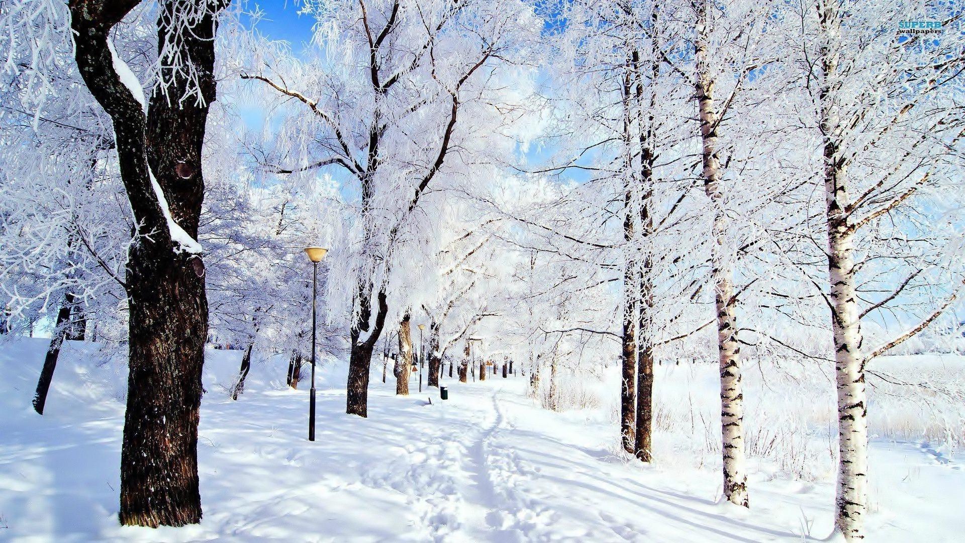 冬季好看的雪景自然风景壁纸4