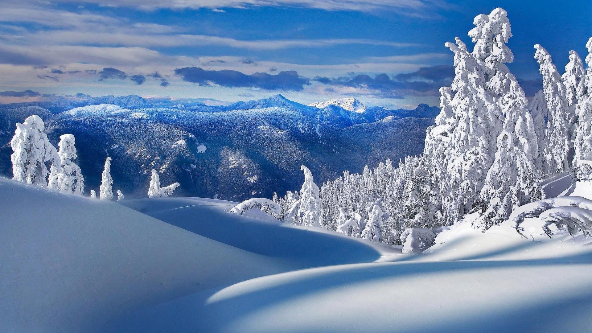 冬季好看的雪景自然风景壁纸7