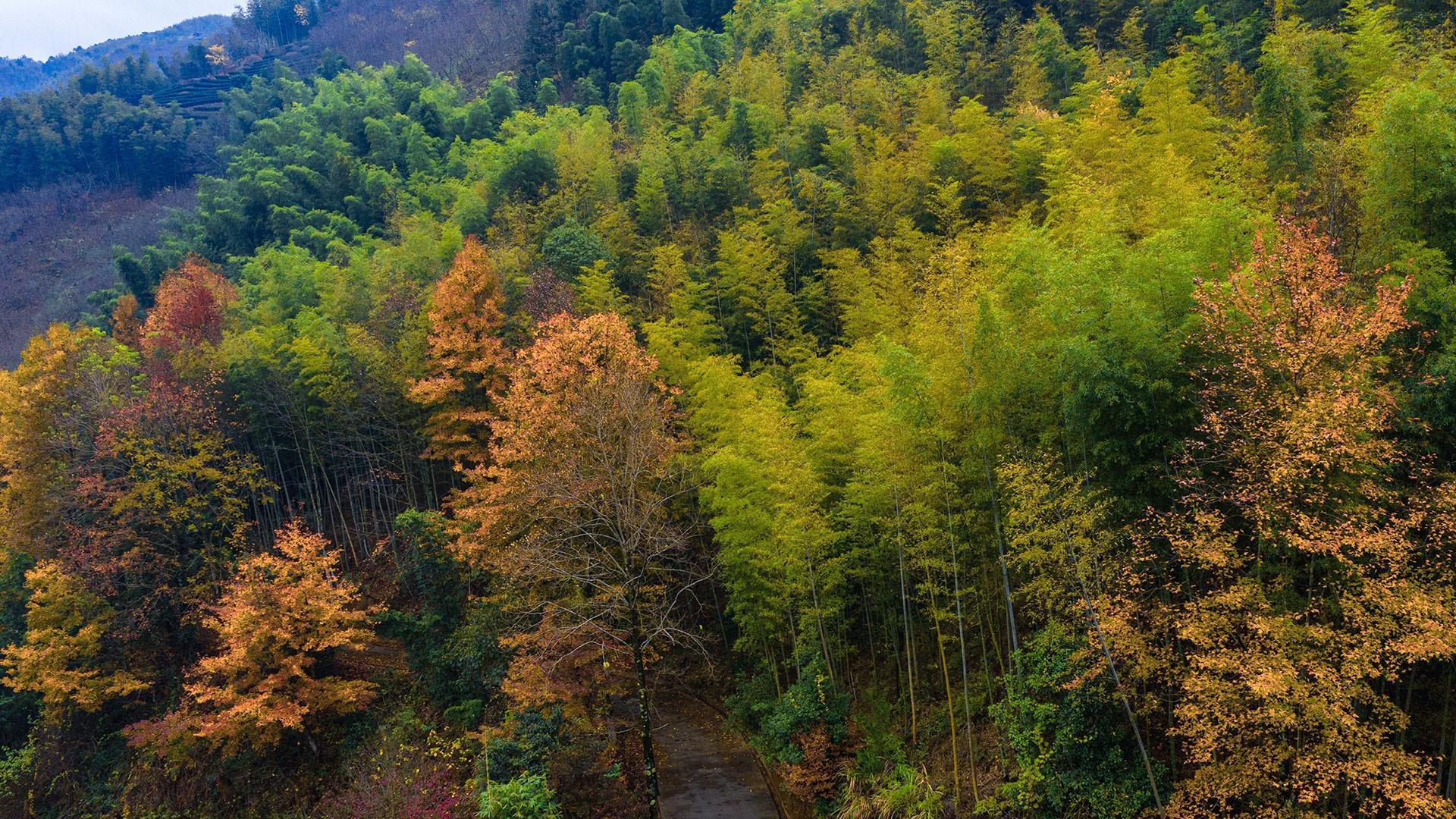 比较真实的高山风景图片桌面壁纸4