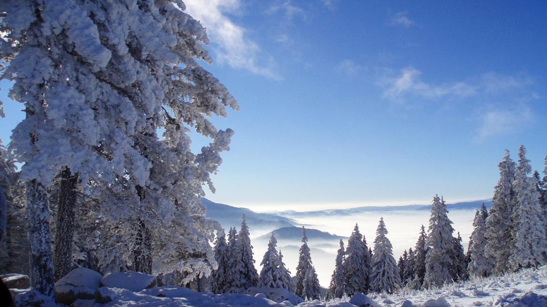 自然,山川,森林,雪,冬季壁纸