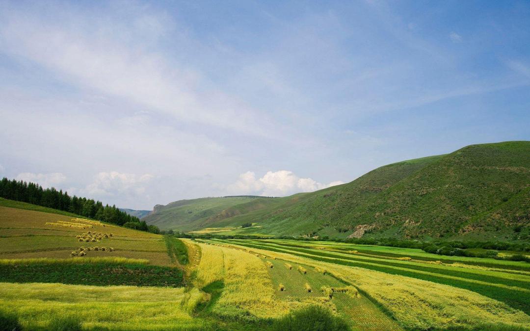 美丽的草原风景电脑桌面壁纸