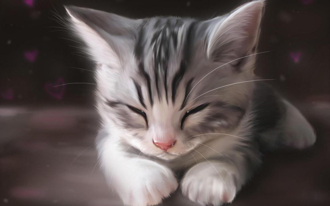 午睡的小猫咪高清壁纸图片