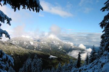 雪松山上风景图片