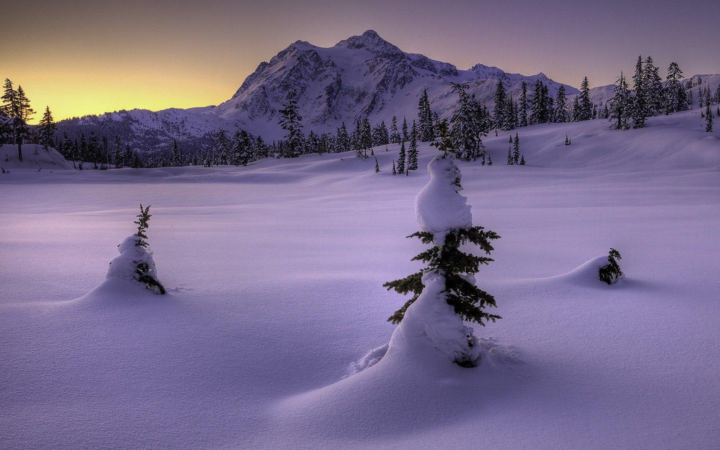 唯美的雪景图片11