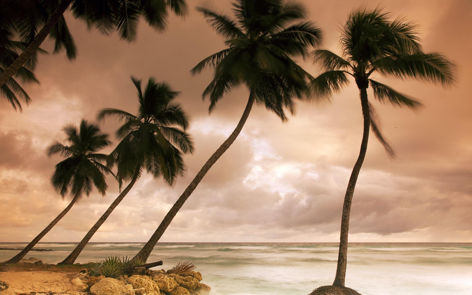 美丽的加勒比海风景壁纸3