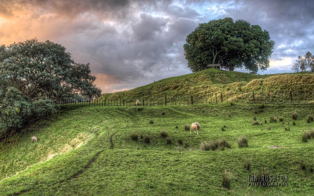 高清新西兰田园风景壁纸