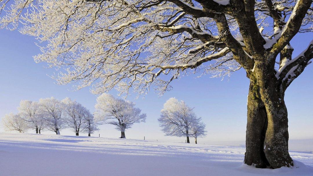 德国黑森林雪风景图片