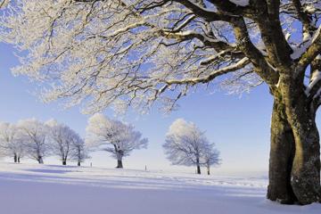 德国黑森林雪风景图片