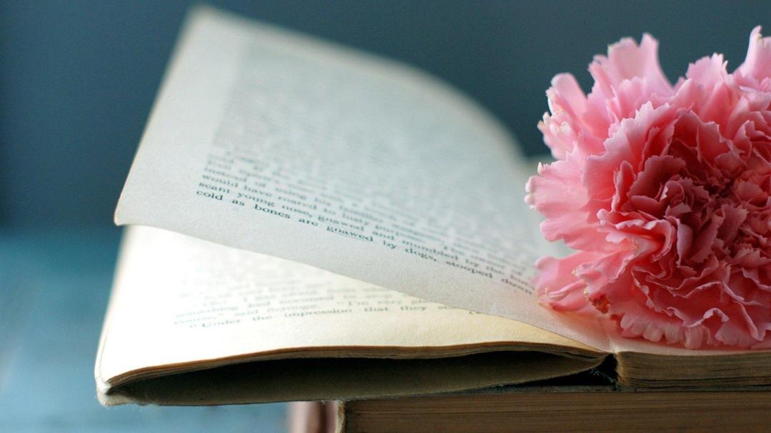 小清新花朵与书高清桌面壁纸