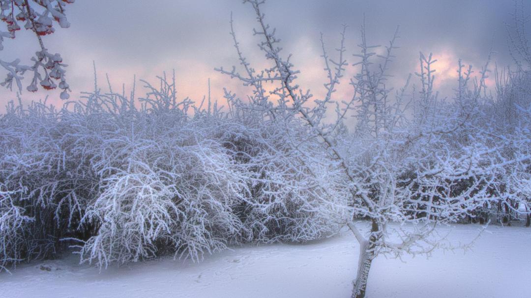 冬季户外白雪积雪景观图片