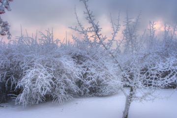 冬季户外白雪积雪景观图片