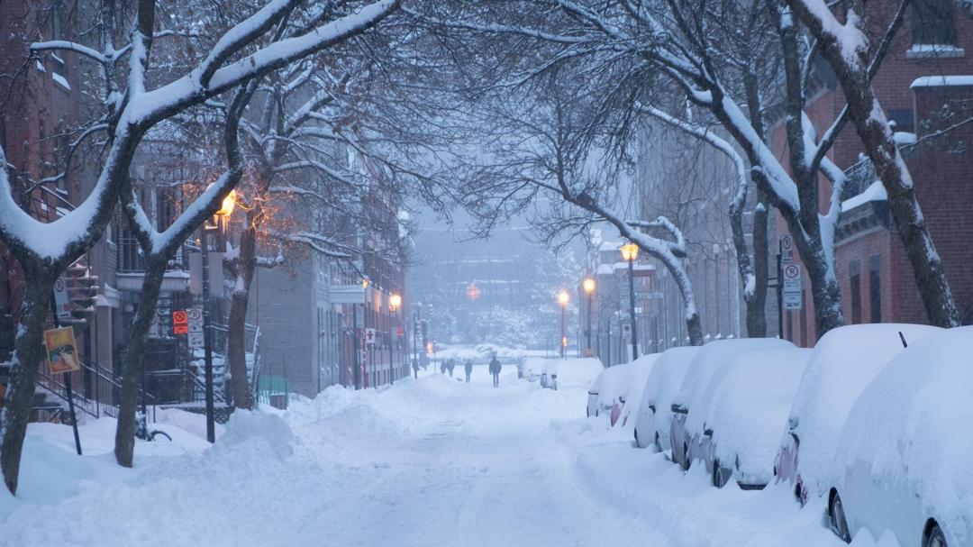 冬季漫天大雪高清壁纸图片