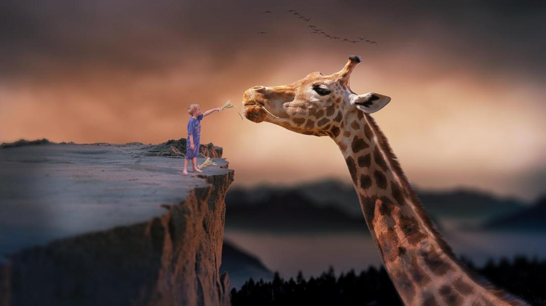 长颈鹿 儿童 可爱创意图片