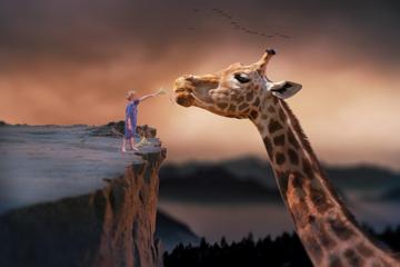 长颈鹿 儿童 可爱创意图片