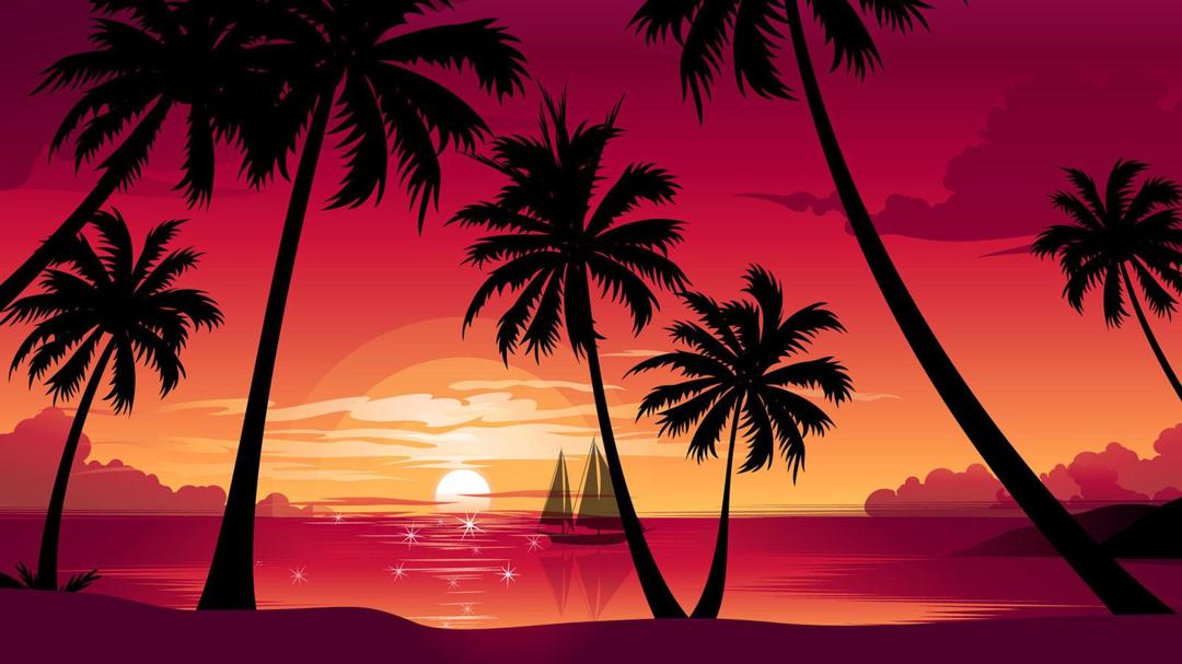 漂亮的椰岛风景图片