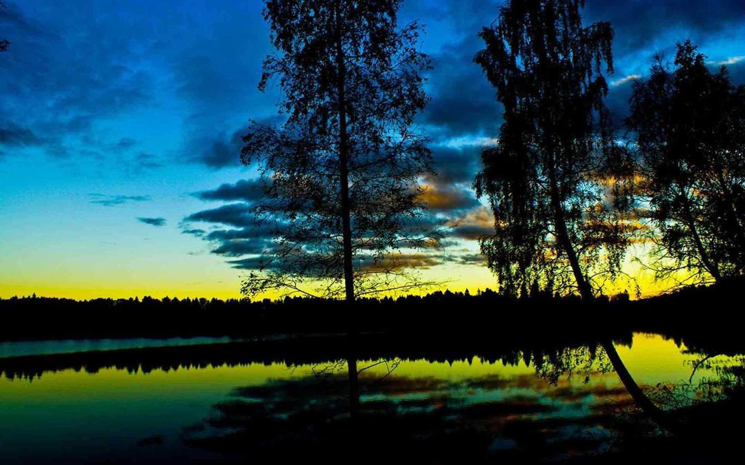 傍晚树林河水自然风景图片