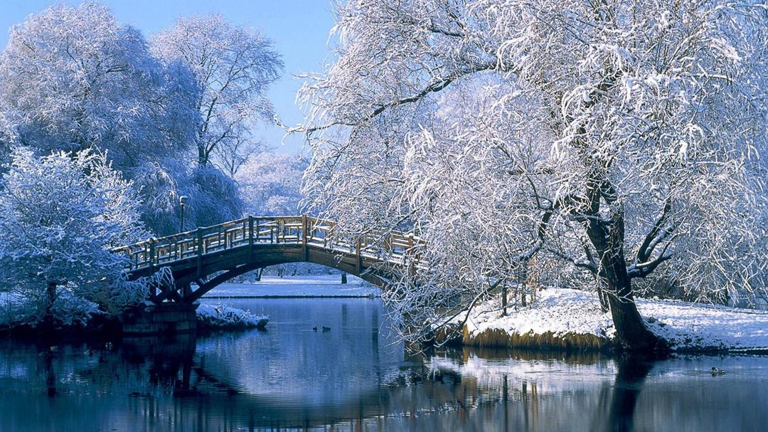 漂亮的雪风景图片