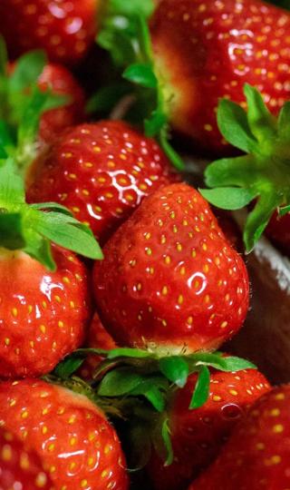 娇艳欲滴的草莓高清手机壁纸