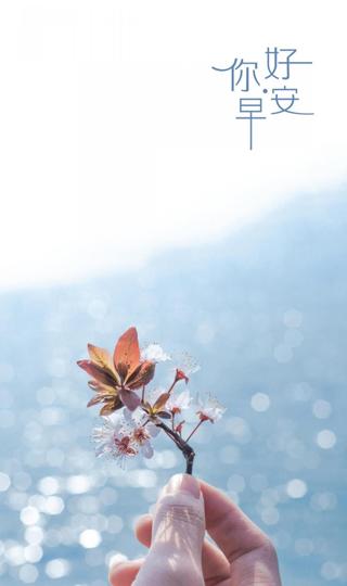 早上好小清新春日樱花壁纸图片