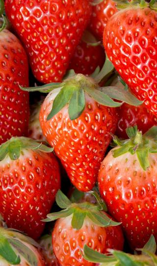 红色草莓水果手机壁纸