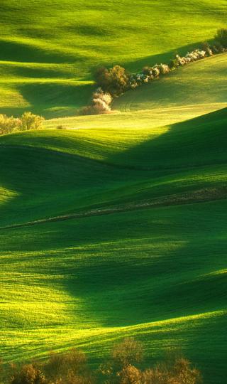 绿草地 山丘风景手机壁纸