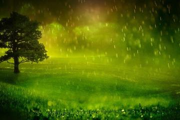 下雨天绿色草地护眼桌面壁纸